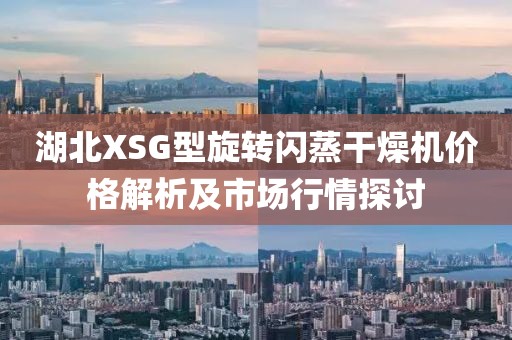 湖北XSG型旋转闪蒸干燥机价格解析及市场行情探讨