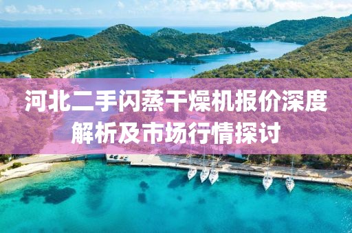 河北二手闪蒸干燥机报价深度解析及市场行情探讨