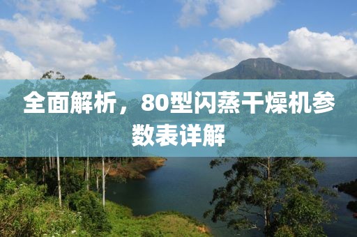 全面解析，80型闪蒸干燥机参数表详解