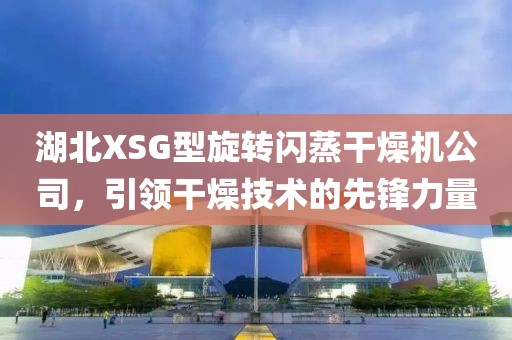 湖北XSG型旋转闪蒸干燥机公司，引领干燥技术的先锋力量