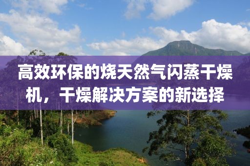 高效环保的烧天然气闪蒸干燥机，干燥解决方案的新选择