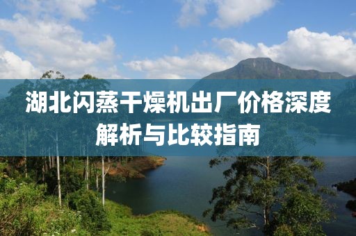 湖北闪蒸干燥机出厂价格深度解析与比较指南