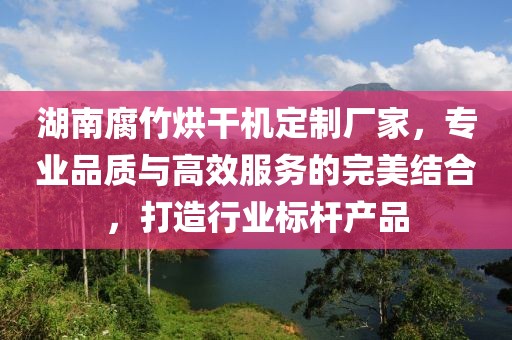 湖南腐竹烘干机定制厂家，专业品质与高效服务的完美结合，打造行业标杆产品