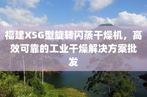 福建XSG型旋转闪蒸干燥机，高效可靠的工业干燥解决方案批发