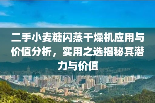 二手小麦糖闪蒸干燥机应用与价值分析，实用之选揭秘其潜力与价值