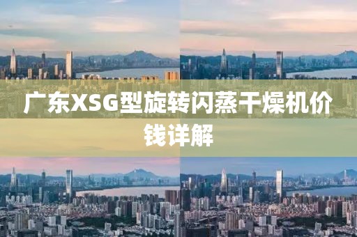 广东XSG型旋转闪蒸干燥机价钱详解