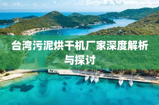 台湾污泥烘干机厂家深度解析与探讨