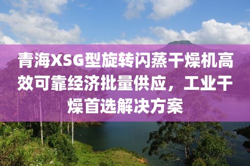 青海XSG型旋转闪蒸干燥机高效可靠经济批量供应，工业干燥首选解决方案