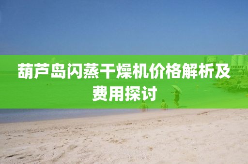 葫芦岛闪蒸干燥机价格解析及费用探讨