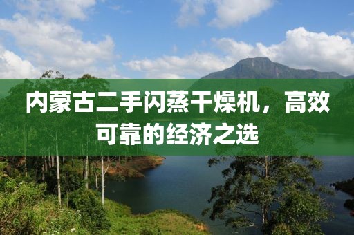 内蒙古二手闪蒸干燥机，高效可靠的经济之选