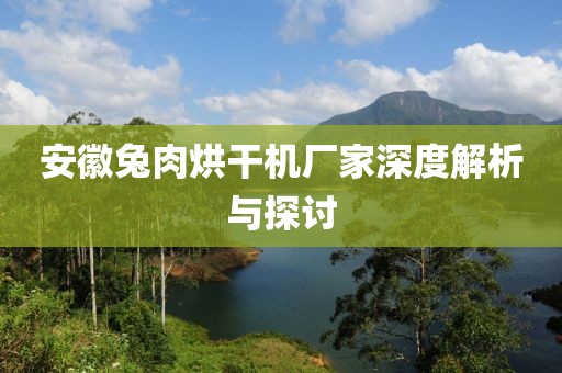 安徽兔肉烘干机厂家深度解析与探讨