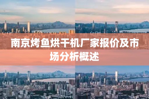 南京烤鱼烘干机厂家报价及市场分析概述