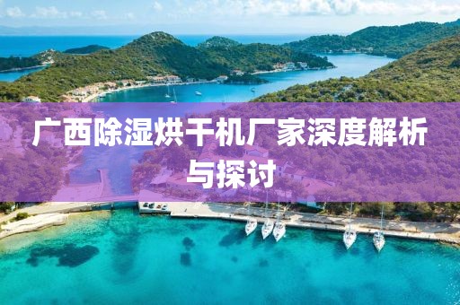 广西除湿烘干机厂家深度解析与探讨