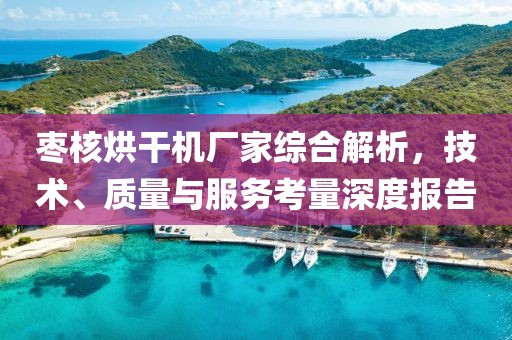 枣核烘干机厂家综合解析，技术、质量与服务考量深度报告