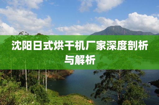 沈阳日式烘干机厂家深度剖析与解析