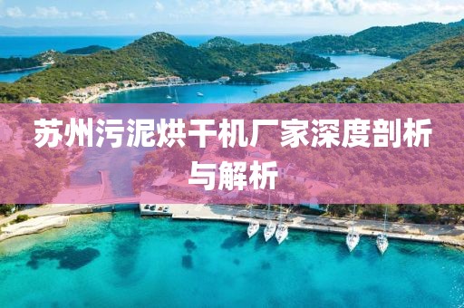 苏州污泥烘干机厂家深度剖析与解析