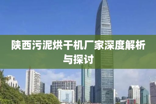 陕西污泥烘干机厂家深度解析与探讨