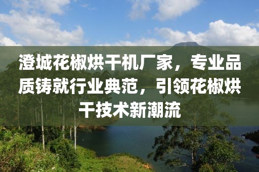 澄城花椒烘干机厂家，专业品质铸就行业典范，引领花椒烘干技术新潮流