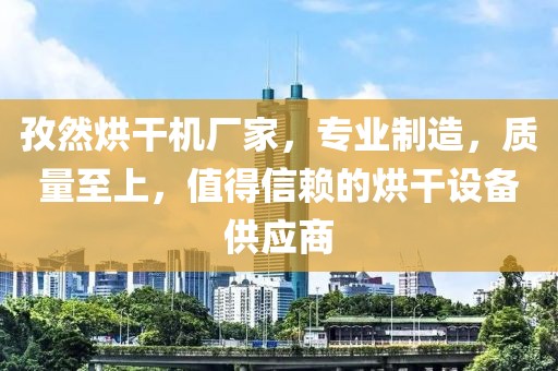 孜然烘干机厂家，专业制造，质量至上，值得信赖的烘干设备供应商