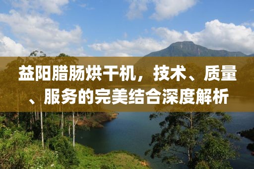 益阳腊肠烘干机，技术、质量、服务的完美结合深度解析