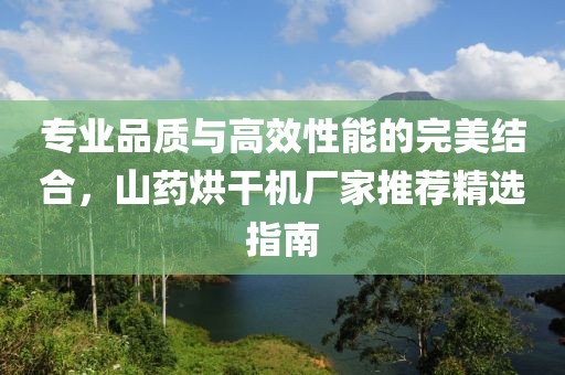 专业品质与高效性能的完美结合，山药烘干机厂家推荐精选指南