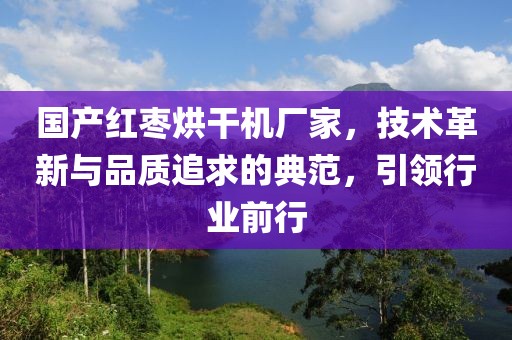 国产红枣烘干机厂家，技术革新与品质追求的典范，引领行业前行