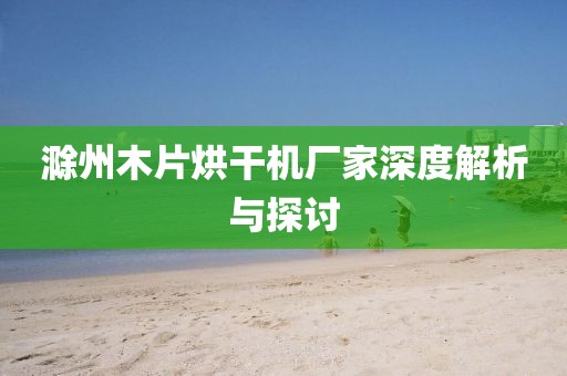 滁州木片烘干机厂家深度解析与探讨