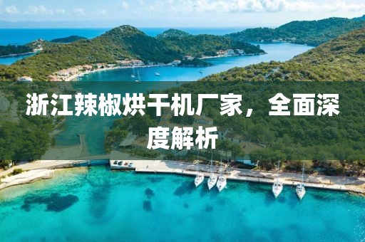 浙江辣椒烘干机厂家，全面深度解析