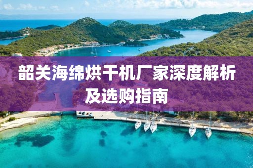 韶关海绵烘干机厂家深度解析及选购指南