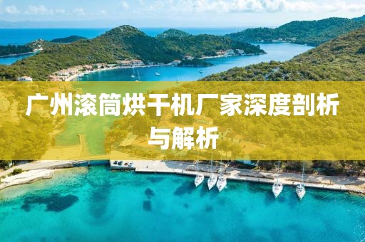 广州滚筒烘干机厂家深度剖析与解析