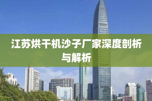 江苏烘干机沙子厂家深度剖析与解析