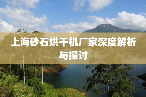 上海砂石烘干机厂家深度解析与探讨