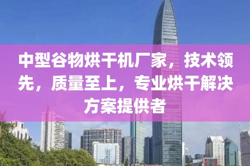 中型谷物烘干机厂家，技术领先，质量至上，专业烘干解决方案提供者