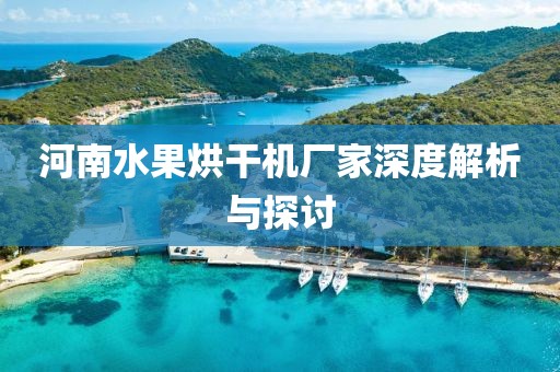 河南水果烘干机厂家深度解析与探讨