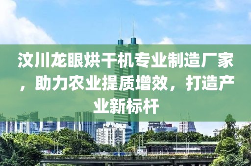 汶川龙眼烘干机专业制造厂家，助力农业提质增效，打造产业新标杆