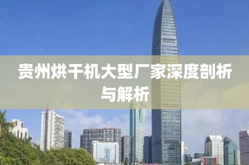 贵州烘干机大型厂家深度剖析与解析