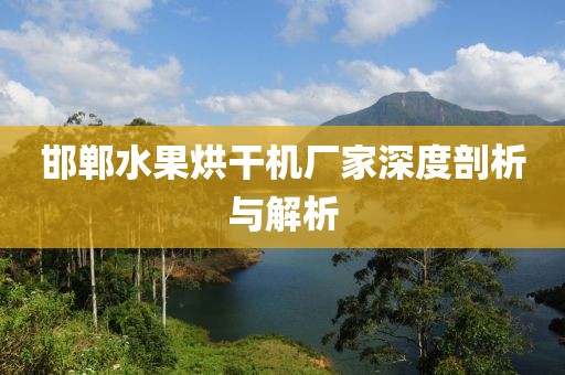 邯郸水果烘干机厂家深度剖析与解析