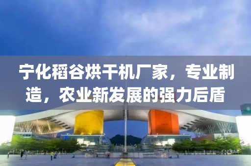 宁化稻谷烘干机厂家，专业制造，农业新发展的强力后盾