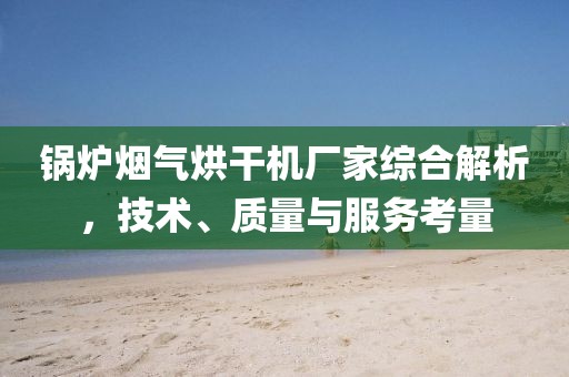 锅炉烟气烘干机厂家综合解析，技术、质量与服务考量