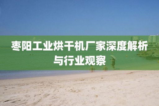 枣阳工业烘干机厂家深度解析与行业观察