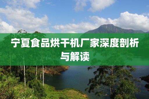 宁夏食品烘干机厂家深度剖析与解读