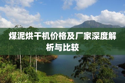 煤泥烘干机价格及厂家深度解析与比较