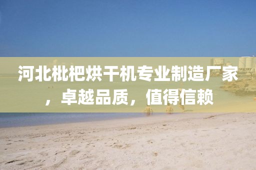 河北枇杷烘干机专业制造厂家，卓越品质，值得信赖