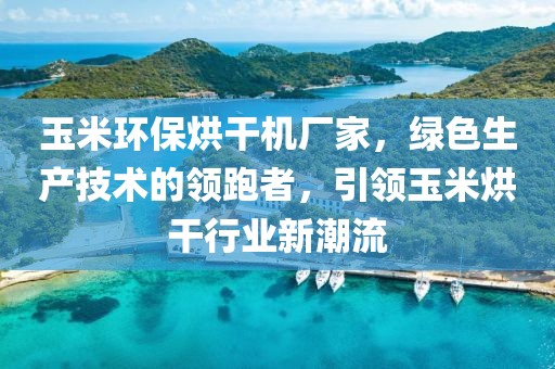 玉米环保烘干机厂家，绿色生产技术的领跑者，引领玉米烘干行业新潮流