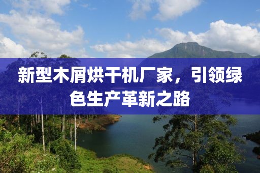 新型木屑烘干机厂家，引领绿色生产革新之路