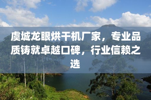 虞城龙眼烘干机厂家，专业品质铸就卓越口碑，行业信赖之选