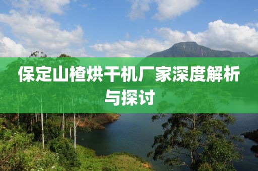 保定山楂烘干机厂家深度解析与探讨