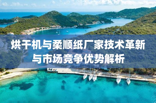 烘干机与柔顺纸厂家技术革新与市场竞争优势解析