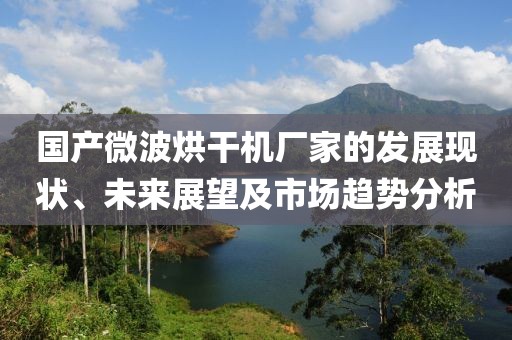 国产微波烘干机厂家的发展现状、未来展望及市场趋势分析