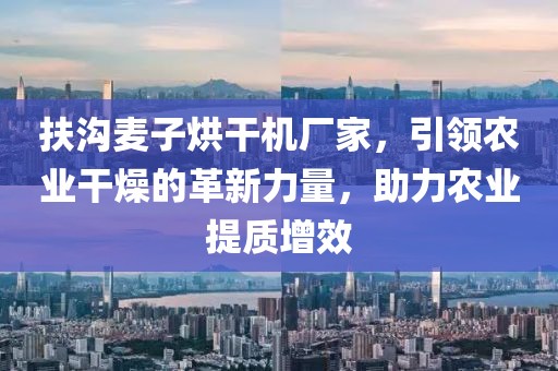 扶沟麦子烘干机厂家，引领农业干燥的革新力量，助力农业提质增效